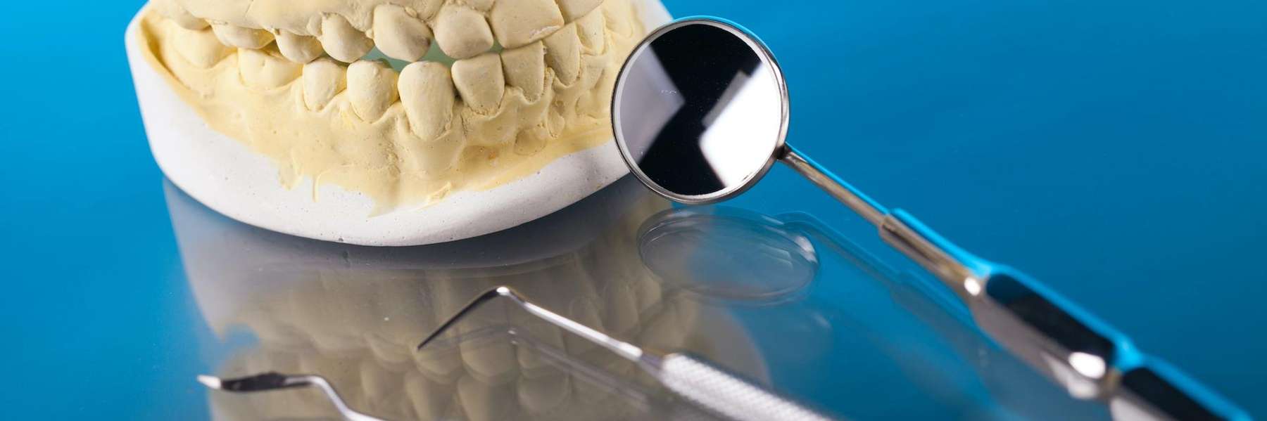 tooth model and dental tools in Bonita Springs FL